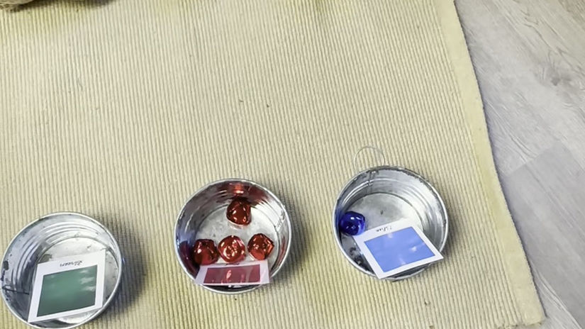 Toddler Classroom Work Period